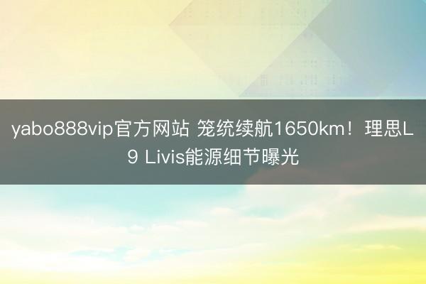 yabo888vip官方网站 笼统续航1650km！理思L9 Livis能源细节曝光