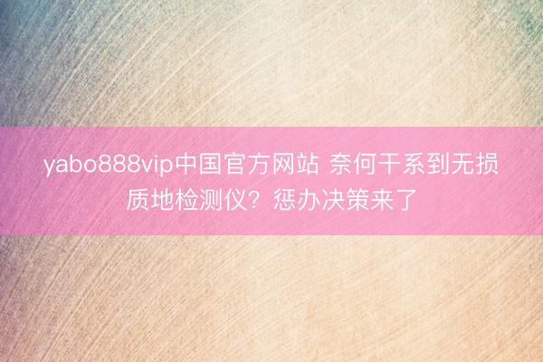 yabo888vip中国官方网站 奈何干系到无损质地检测仪？惩办决策来了