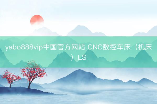 yabo888vip中国官方网站 CNC数控车床（机床）LS