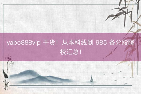 yabo888vip 干货！从本科线到 985 各分段院校汇总！
