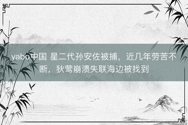 yabo中国 星二代孙安佐被捕，近几年劳苦不断，狄莺崩溃失联海边被找到