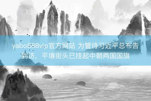 yabo888vip官方网站 为管待习近平总布告到访，平壤街头已挂起中朝两国国旗