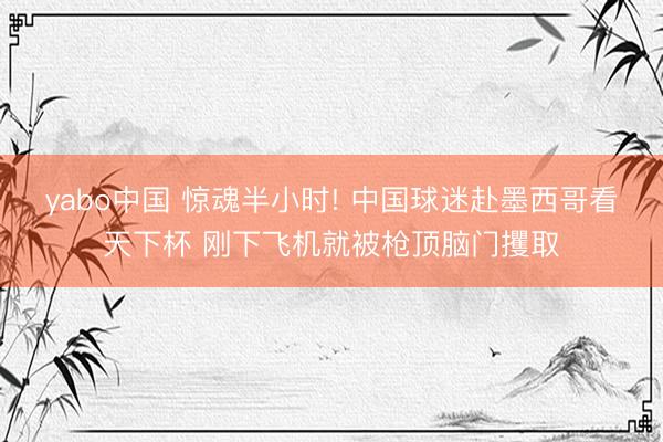 yabo中国 惊魂半小时! 中国球迷赴墨西哥看天下杯 刚下飞机就被枪顶脑门攫取