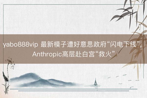 yabo888vip 最新模子遭好意思政府“闪电下线”， Anthropic高层赴白宫“救火”